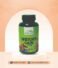 Weight Gain Tips in Pakistan: Desi Diet Plan and Herbal Support